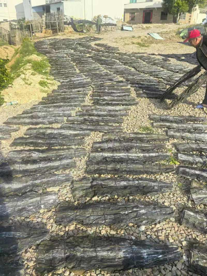 90公分海带板