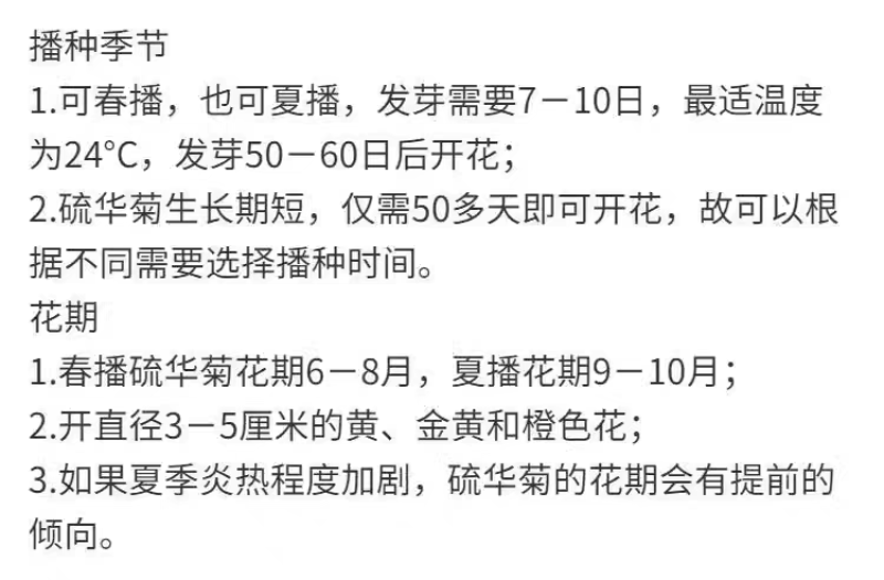 硫华菊厂家货源批发价格全国发货价格便宜欢迎下单咨询