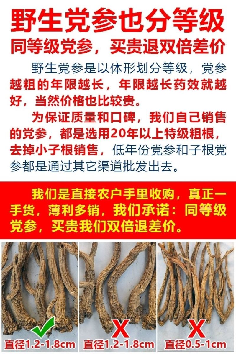野党参原生采挖干货条纹党参甘肃新鲜干党参整条新货批发