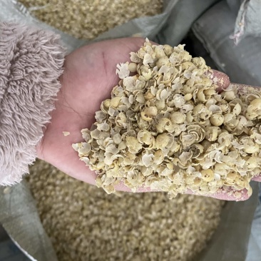 黄豆壳