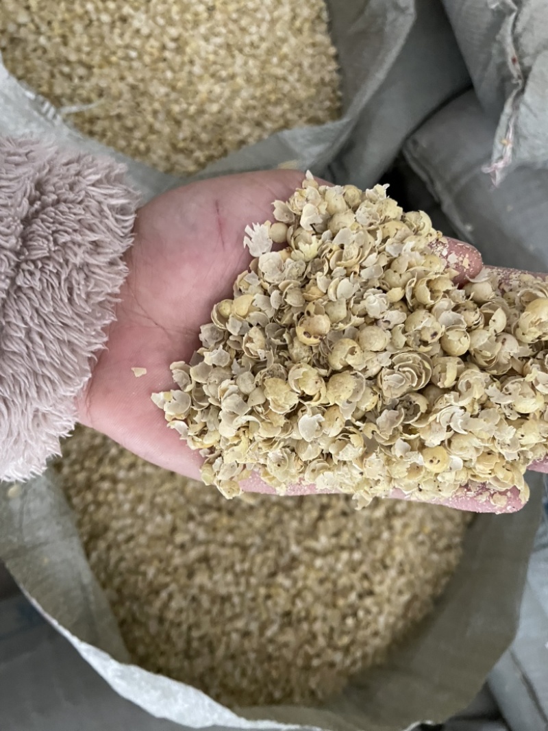 黄豆壳