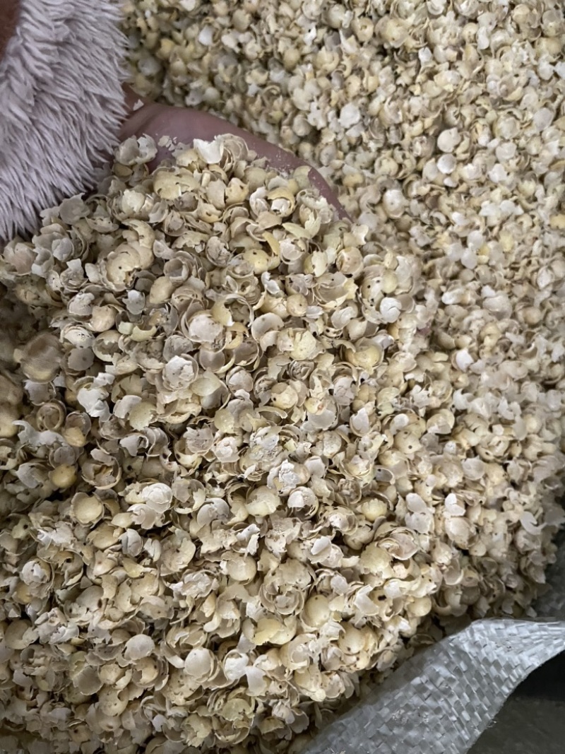 黄豆壳