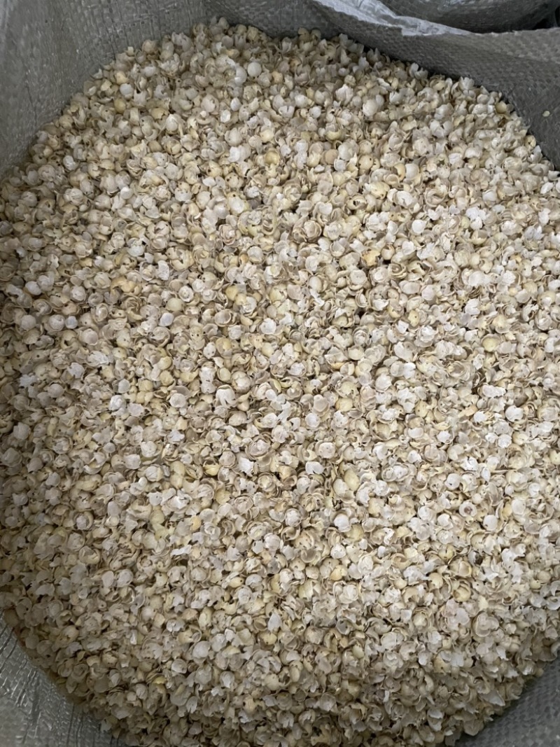 黄豆壳