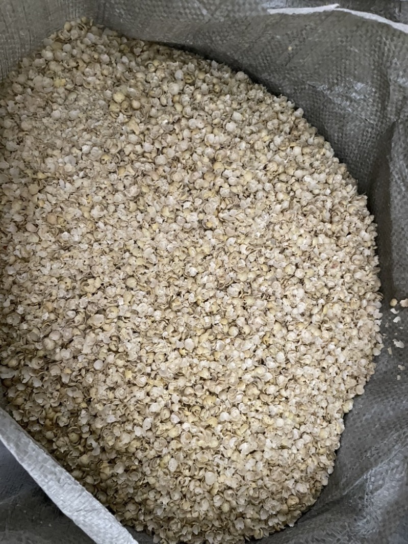 黄豆壳