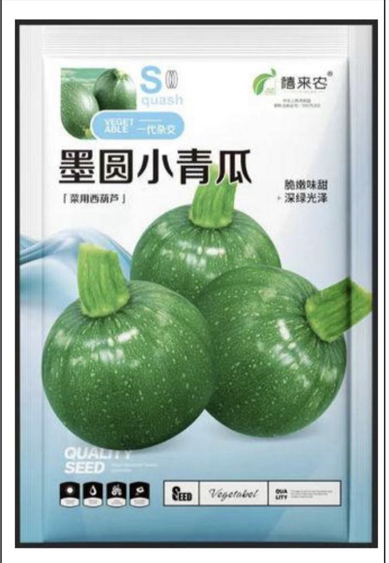 圆墨小青瓜葫芦种子早熟耐寒圆形西葫芦种子阳台盆栽蔬菜种子
