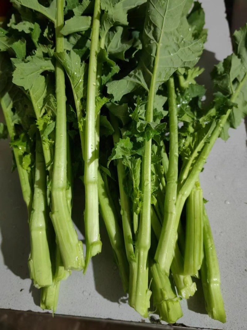 油菜苔