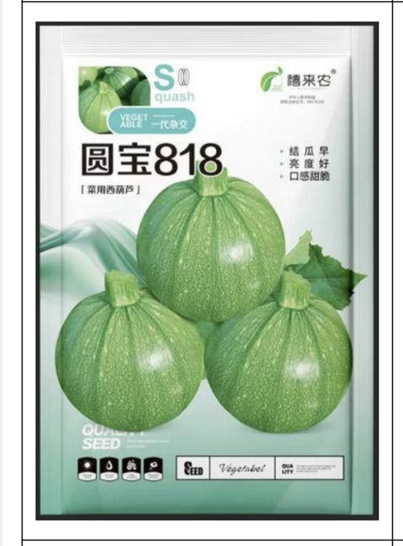 圆宝818西葫芦种子早熟耐寒口感脆嫩阳台庭院盆栽蔬菜种子