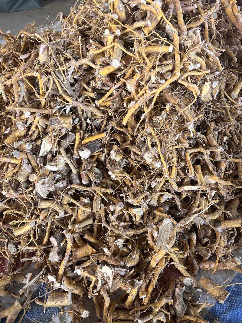 野生黄皮杜仲，金丝杜仲