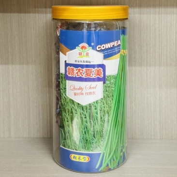 赣农夏美豇豆种子耐热豆角粗长型中早熟耐老化无鼠尾高产长豆