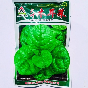 大叶木耳菜种子