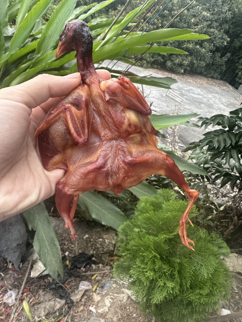 腊鹌鹑腊鸟干