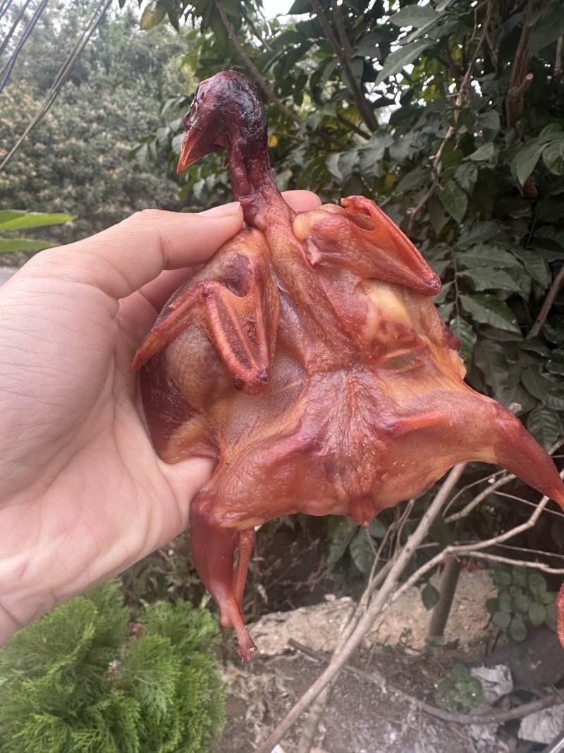 腊鹌鹑腊鸟干