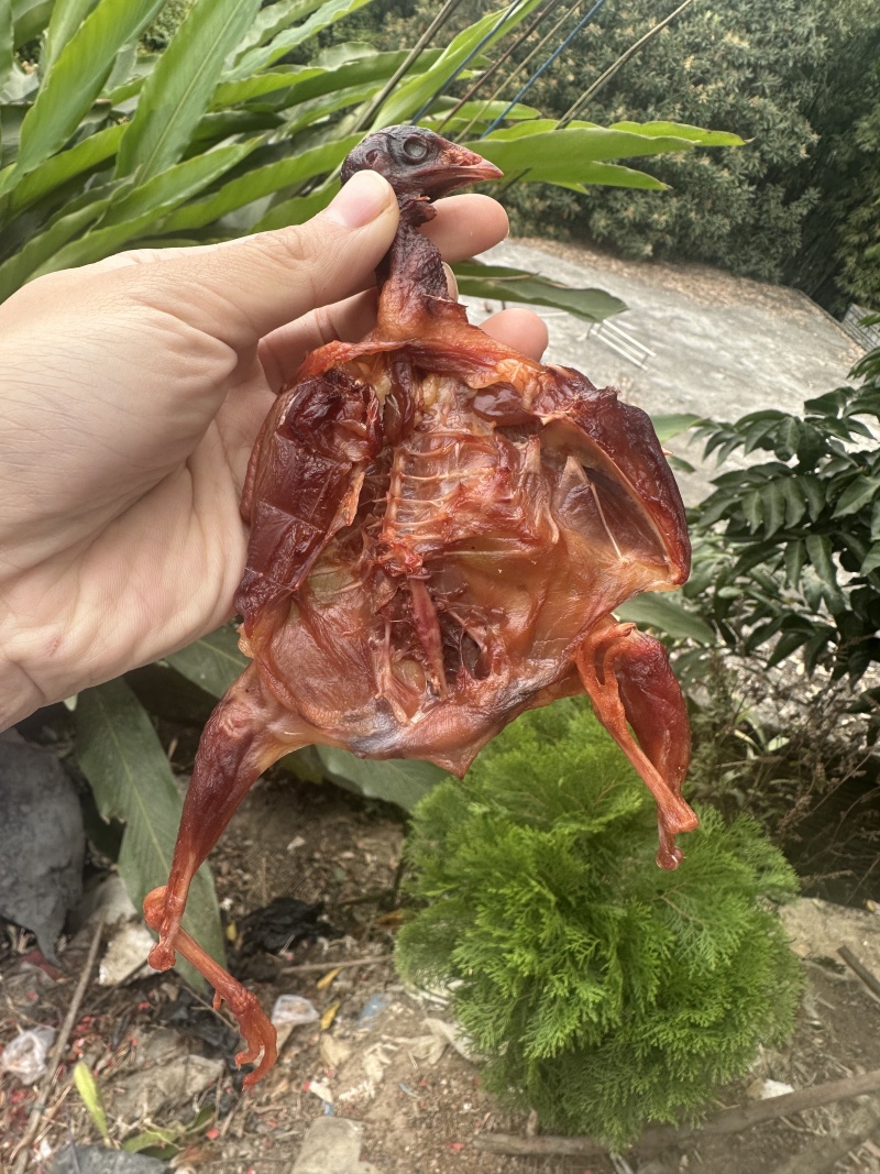 腊鹌鹑腊鸟干