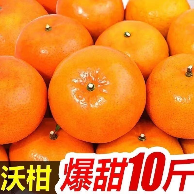 【皮薄汁多】正宗广西沃柑应当季新鲜柑橘子孕妇纯甜一整箱