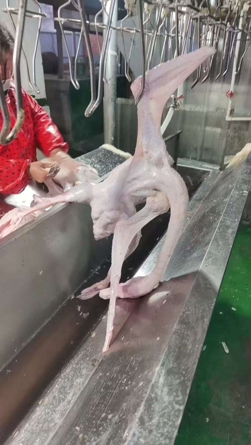 鹅肉**