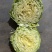 半软甘蓝大量走货，价格可谈，品质保证，欢迎来电