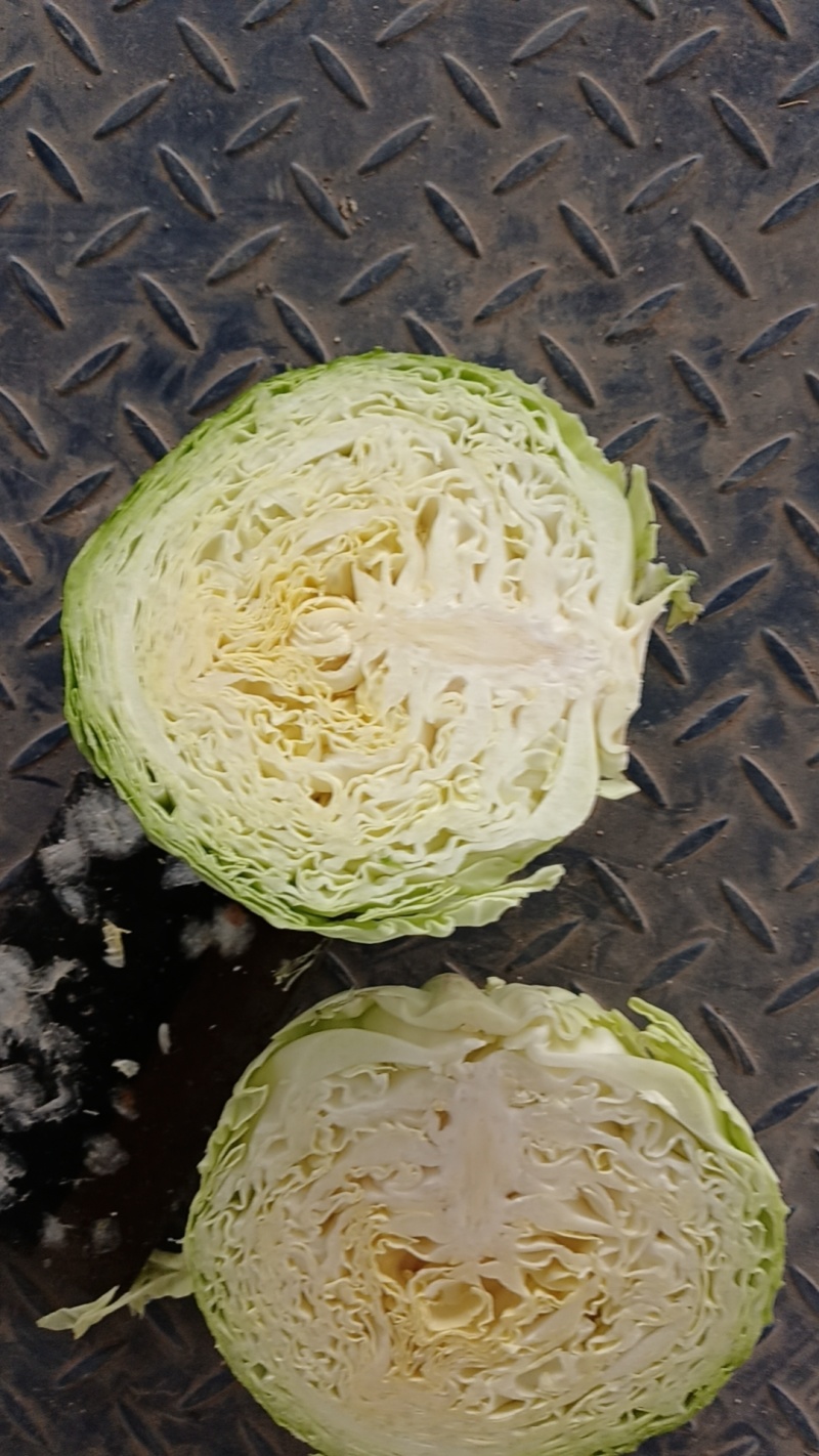 半软甘蓝大量走货，价格可谈，品质保证，欢迎来电