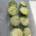 半软甘蓝大量走货，价格可谈，品质保证，欢迎来电