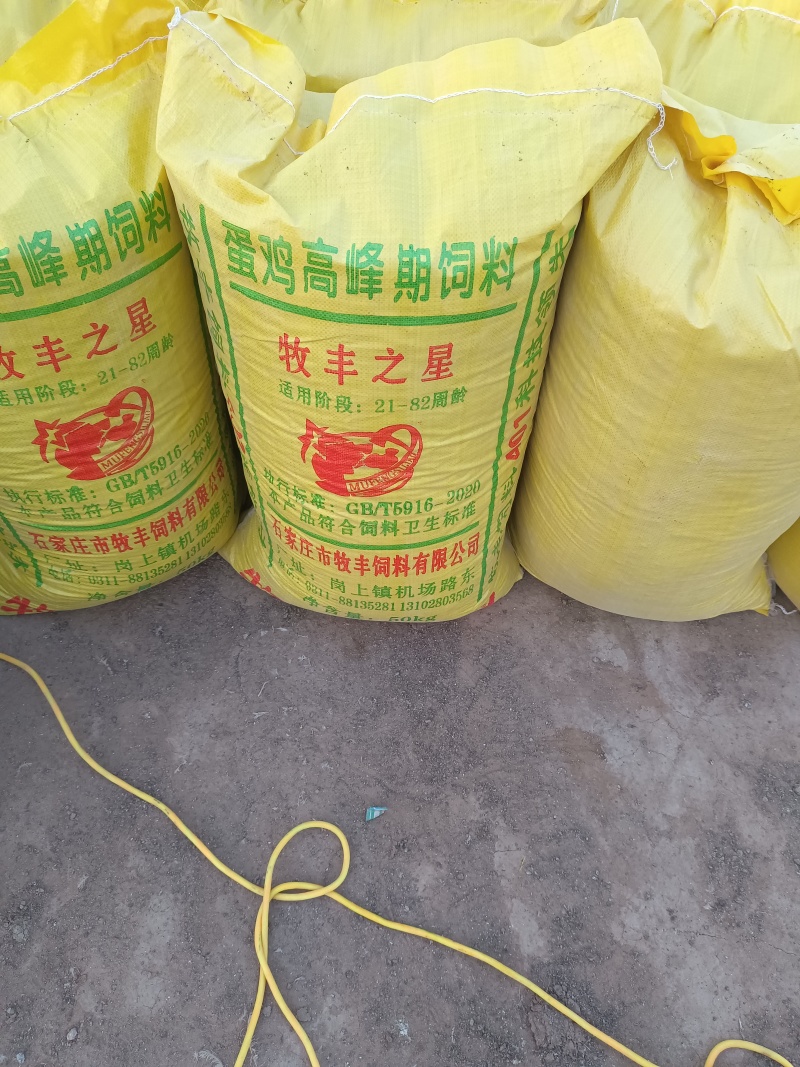 小鸡粪颗粒