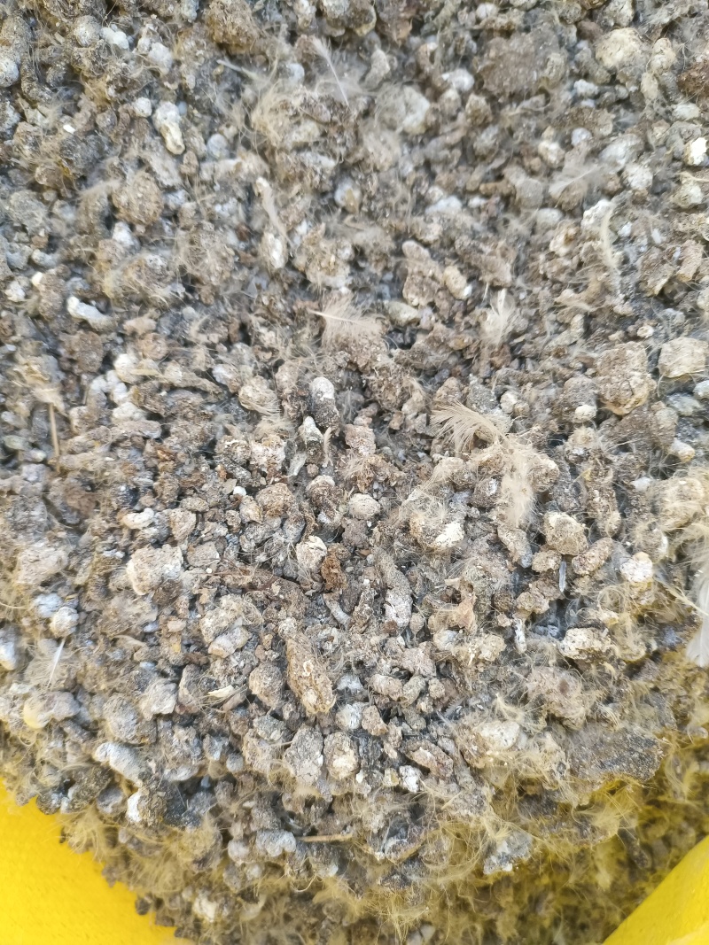小鸡粪颗粒