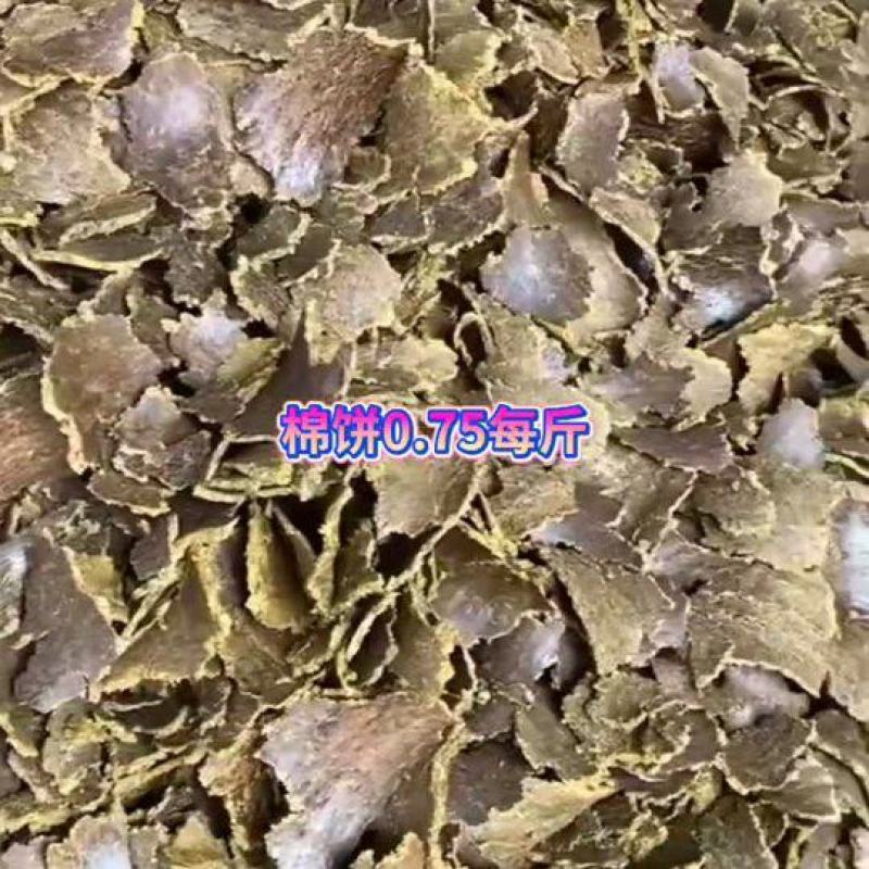 棉饼