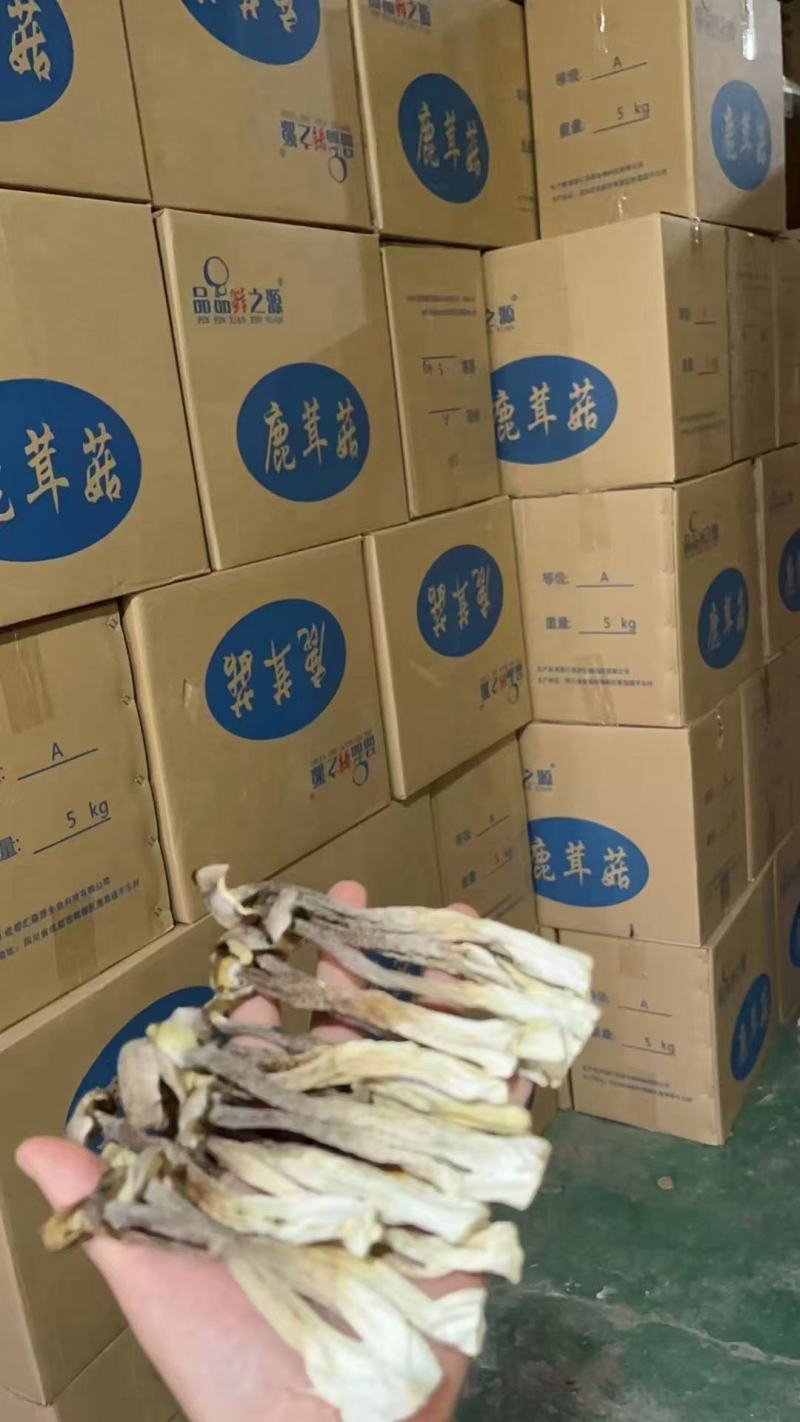 干鹿茸菇，保质保量，一件净重十斤现货，泡发煲汤鲜香爆炒美味