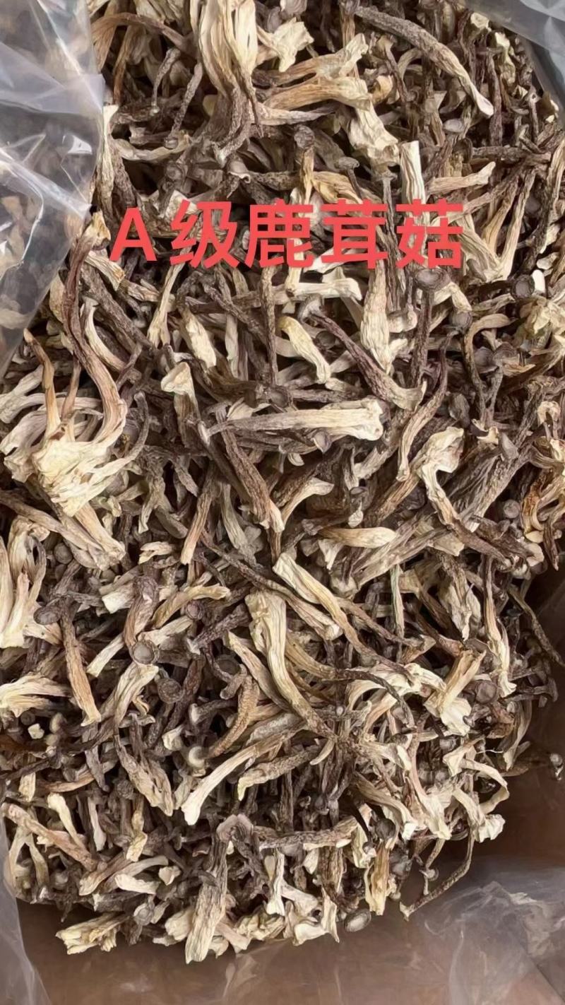干鹿茸菇，保质保量，一件净重十斤现货，泡发煲汤鲜香爆炒美味
