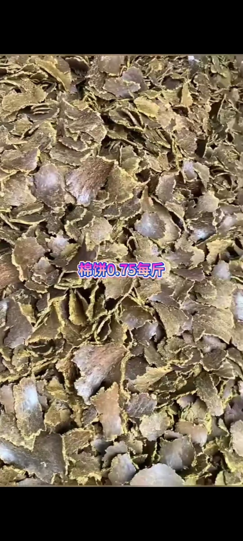 棉饼