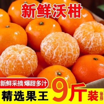 广西精品沃杆供应商超批发市场电商一件代发