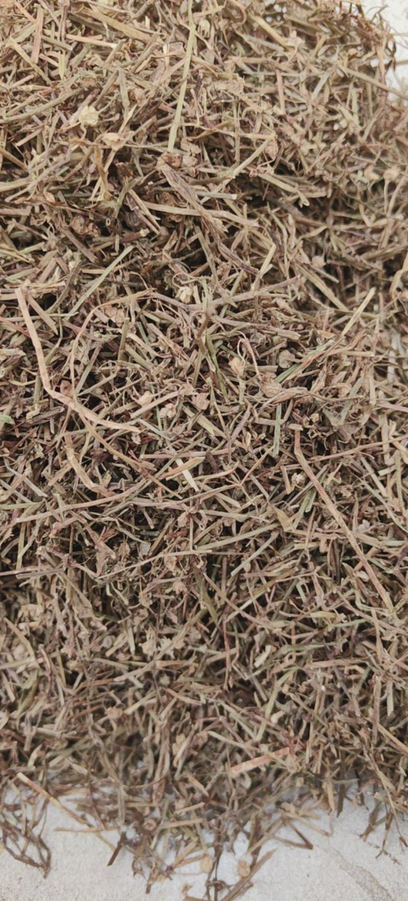 白花蛇舌草蛇草白花蛇草优质除尘产地直销一手货源