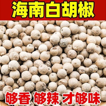 海南白胡椒产地直发