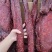 大块肉（猪里脊肉、腌渍肉）五香和麻辣两个口味