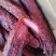 大块肉（猪里脊肉、腌渍肉）五香和麻辣两个口味