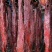 大块肉（猪里脊肉、腌渍肉）五香和麻辣两个口味