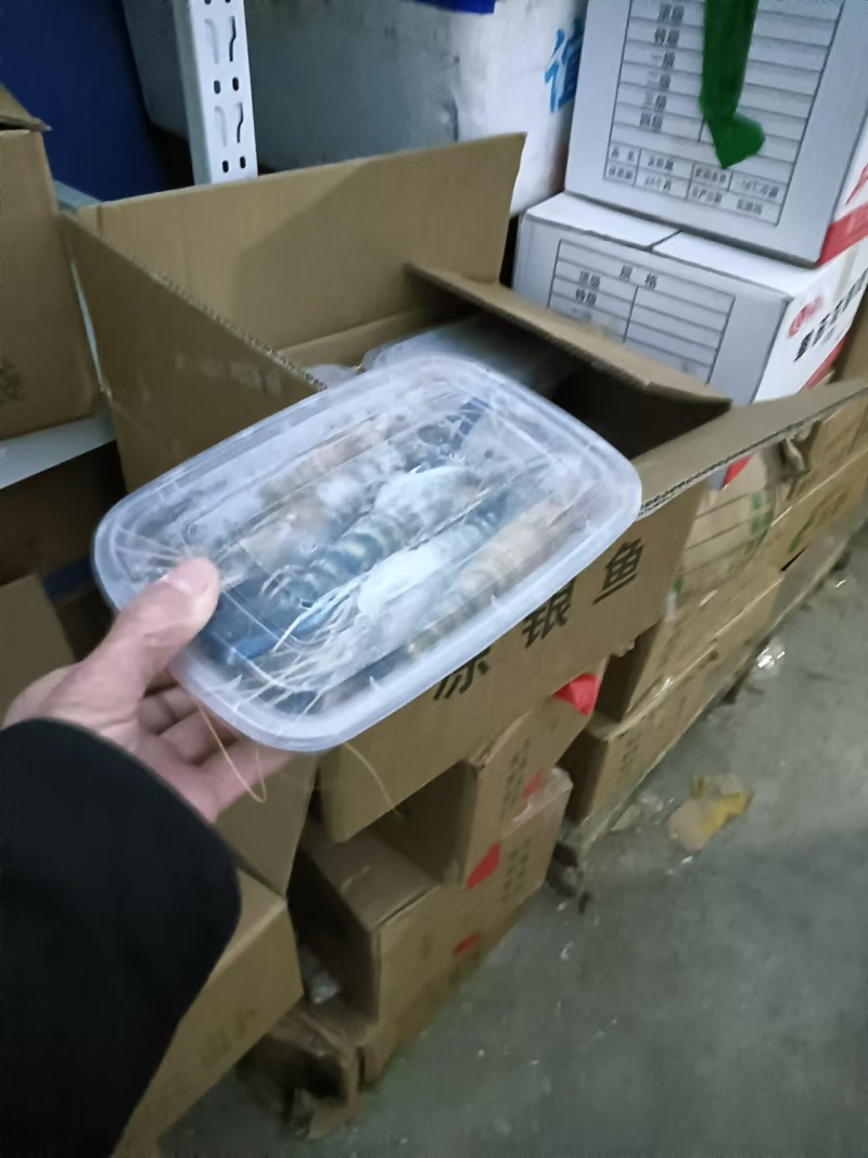 罗氏沼虾来了，个个胖嘟嘟的，是办置年货**