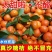 【高销量】砂糖橘正宗广西沙糖桔自然熟，口感纯甜。大量供应