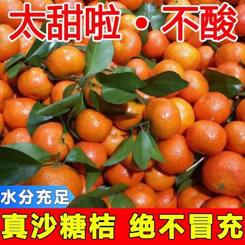 【高销量】砂糖橘正宗广西沙糖桔自然熟，口感纯甜。大量供应