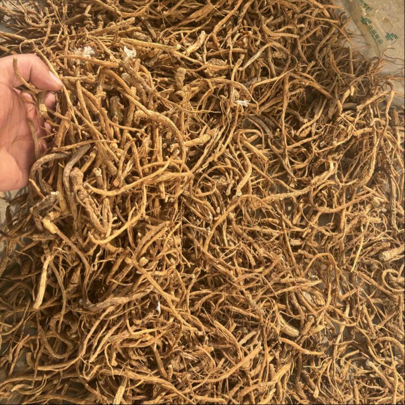 【当归】甘肃岷县优质当归有硫当归股子全干货可打粉