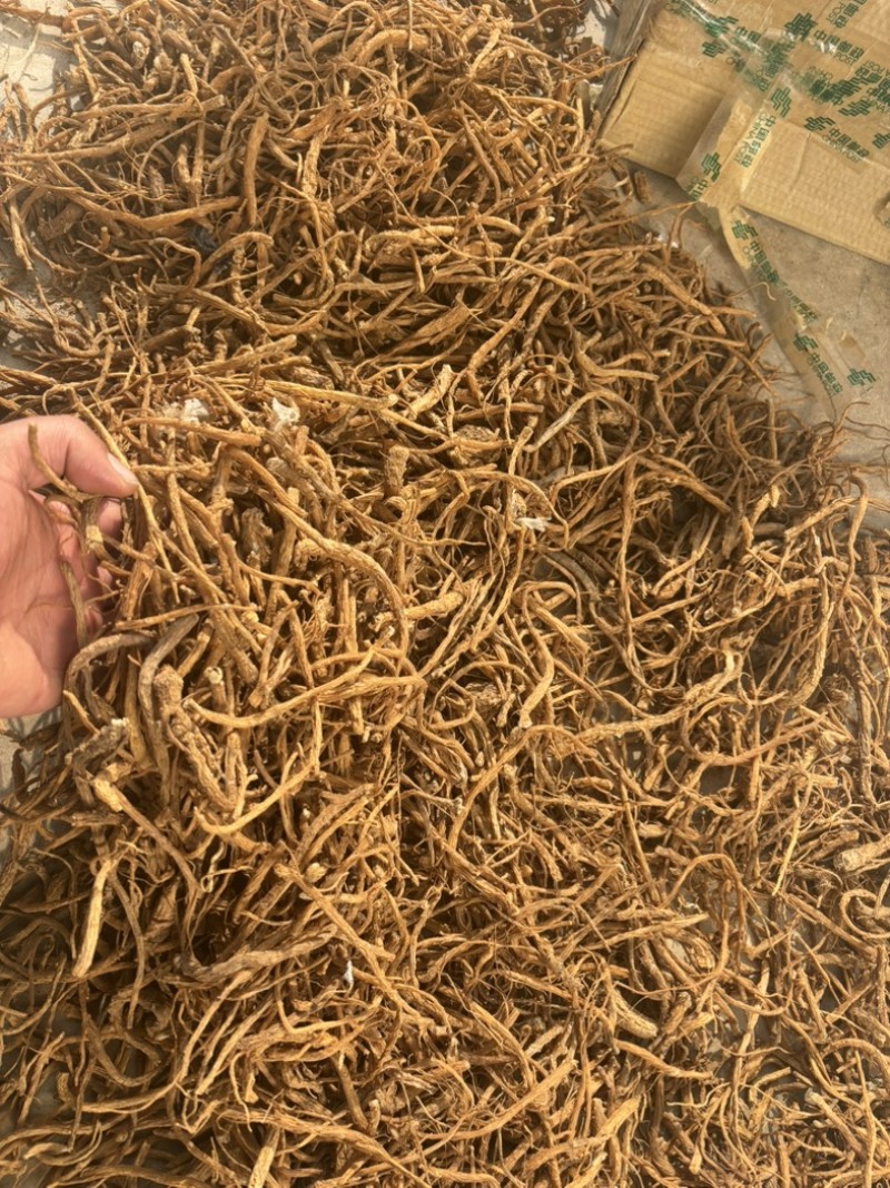 【当归】甘肃岷县优质当归有硫当归股子全干货可打粉