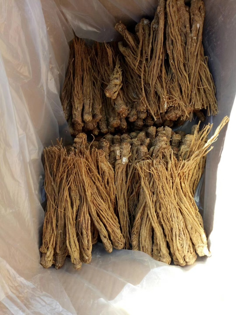 当归统货中两条全国发货欢迎联系质量优良
