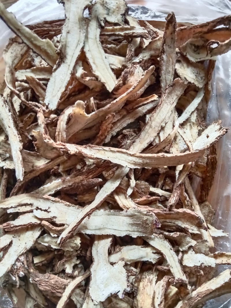 全检当归片厂家直销大量有货欢迎电联
