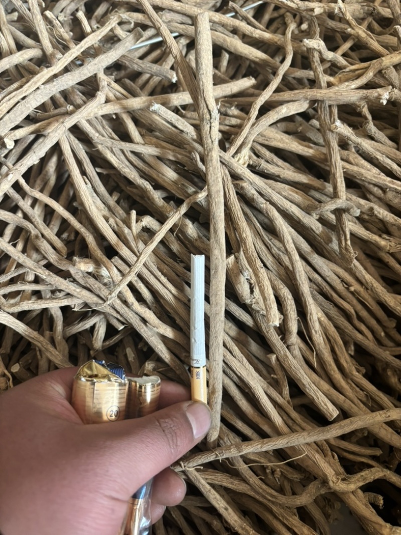【黄芪】甘肃岷县优质生黄芪黄芪条原产地种植高含量