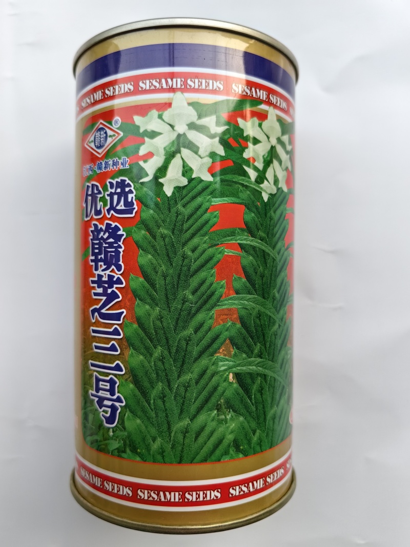 白芝麻种子赣芝三号优质高油白黑芝麻种子耐旱抗倒伏春夏芝麻