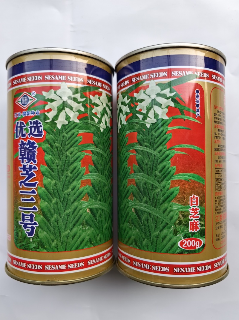白芝麻种子赣芝三号优质高油白黑芝麻种子耐旱抗倒伏春夏芝麻