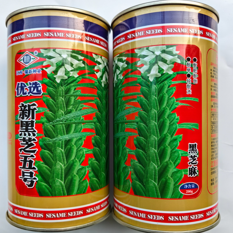 黑芝麻种子新黑芝五号高产高油耐旱耐倒黑白芝麻种子春夏芝麻