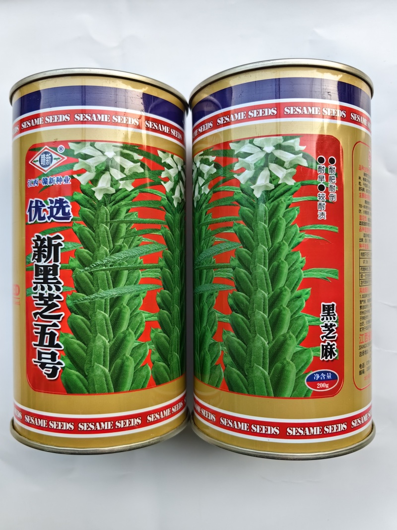 黑芝麻种子新黑芝五号高产高油耐旱耐倒黑白芝麻种子春夏芝麻