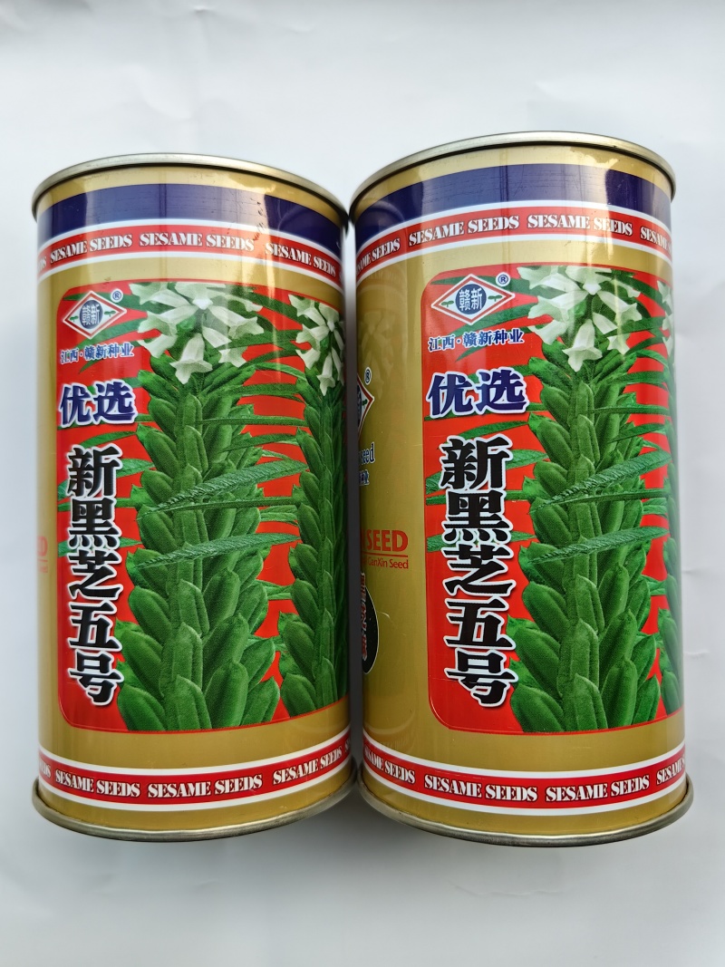 黑芝麻种子新黑芝五号高产高油耐旱耐倒黑白芝麻种子春夏芝麻