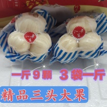 兰州甜大小两头大小三头大小四头12头各种规格饭店商务批发