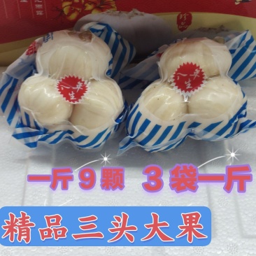兰州甜大小两头大小三头大小四头12头各种规格饭店商务批发