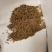 牛膝种子